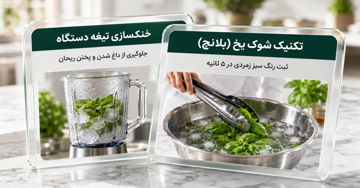اینفوگرافیک سهبعدی شیشهای تکنیک شوک یخ و خنکسازی تیغه استیل برای سبز ماندن سس پستو