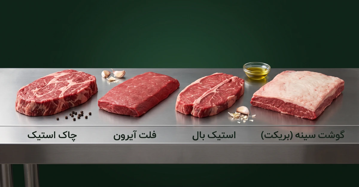 شناخت-قطعات-شانه-و-سینه-گوساله-استیک