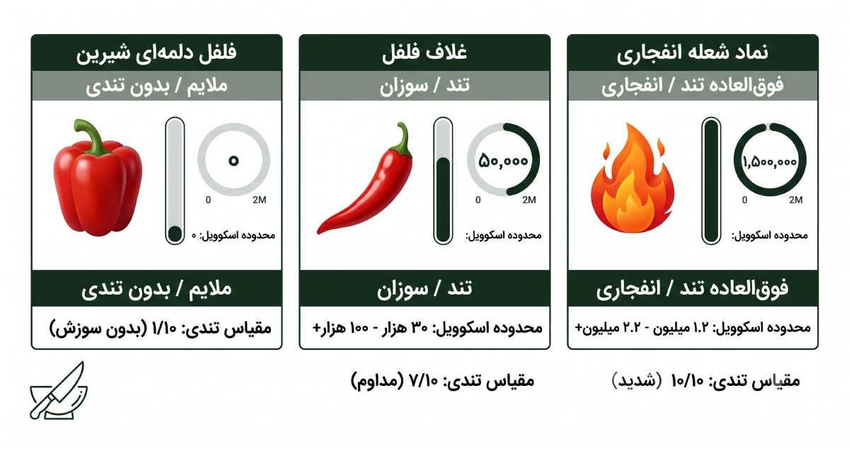 اینفوگرافیک مقایسه تندی پاپریکا و فلفل قرمز