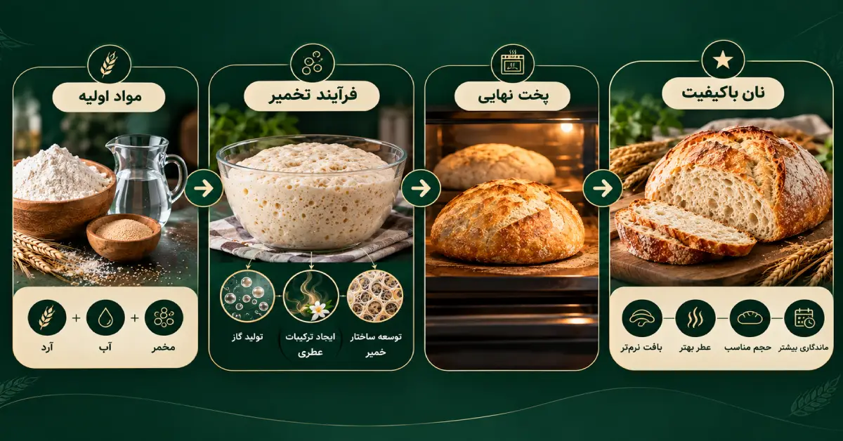 اینفوگرافیک مسیر تأثیر تخمیر نان بر کیفیت نهایی شامل مراحل آرد، آب و مخمر، فرآیند تخمیر، ایجاد گاز و ترکیبات عطری، پخت نهایی و تولید نان با بافت نرمتر، عطر بهتر و کیفیت بالاتر